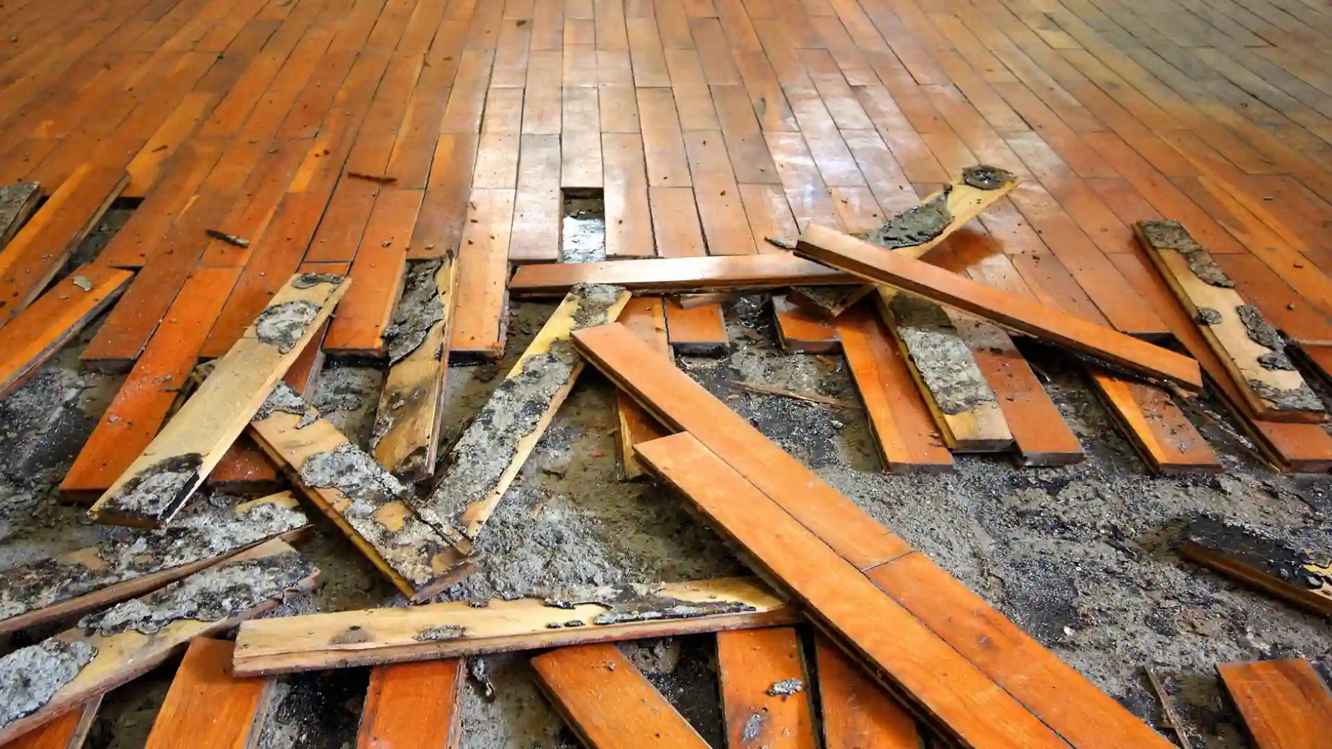 Hardwood Floor Repairs