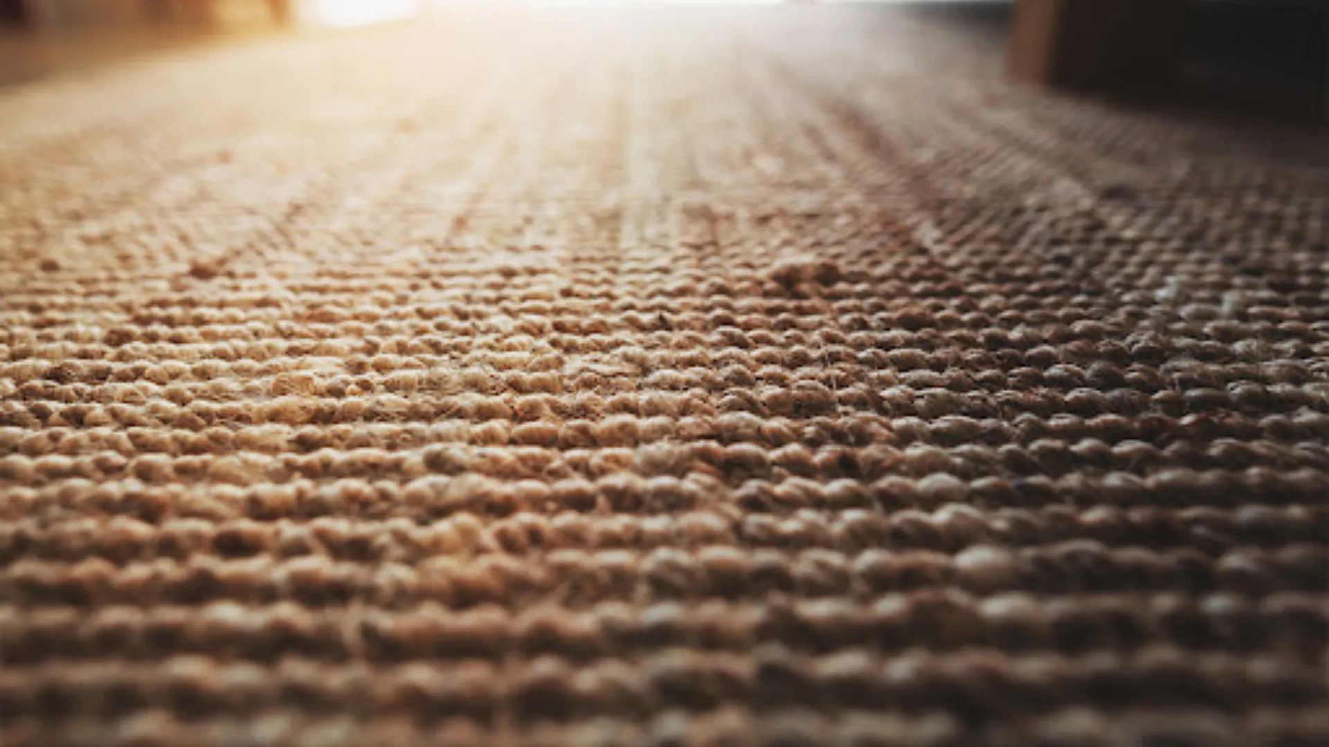 Patterned & Textured Carpets